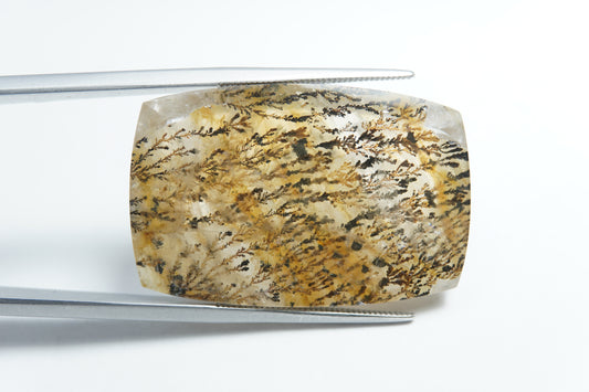 44.95ct Dendrita 32x21mm