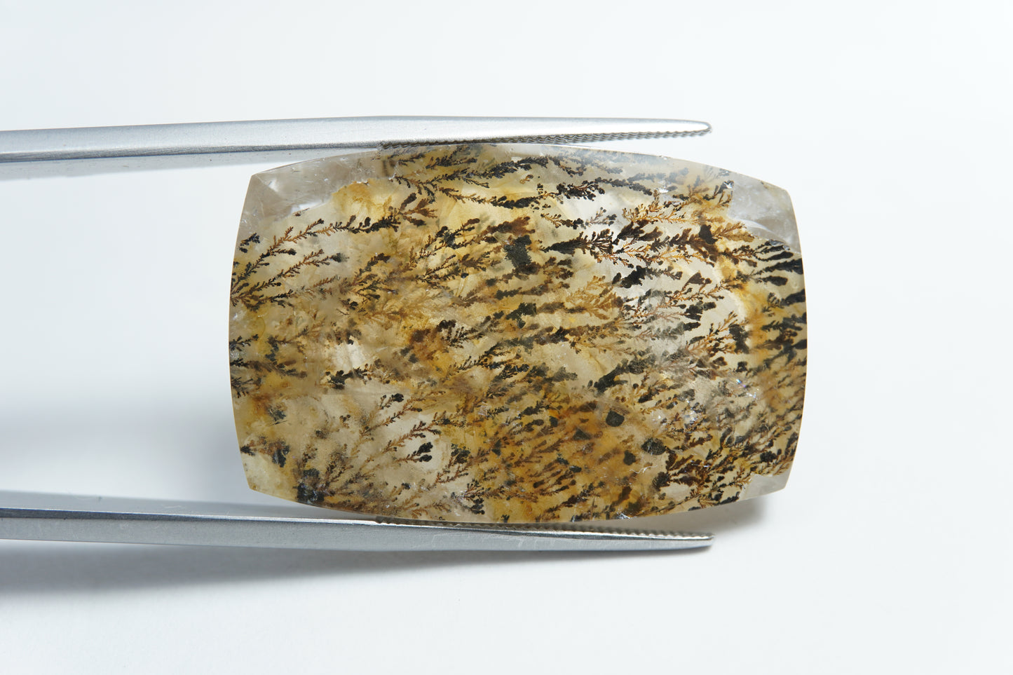 44.95ct Dendrita 32x21mm