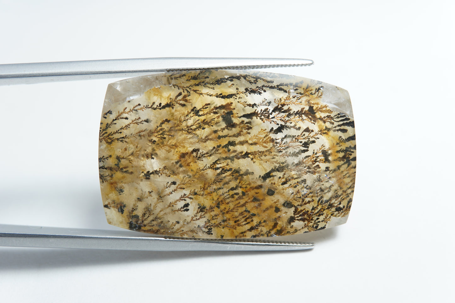 44.95ct Dendrita 32x21mm