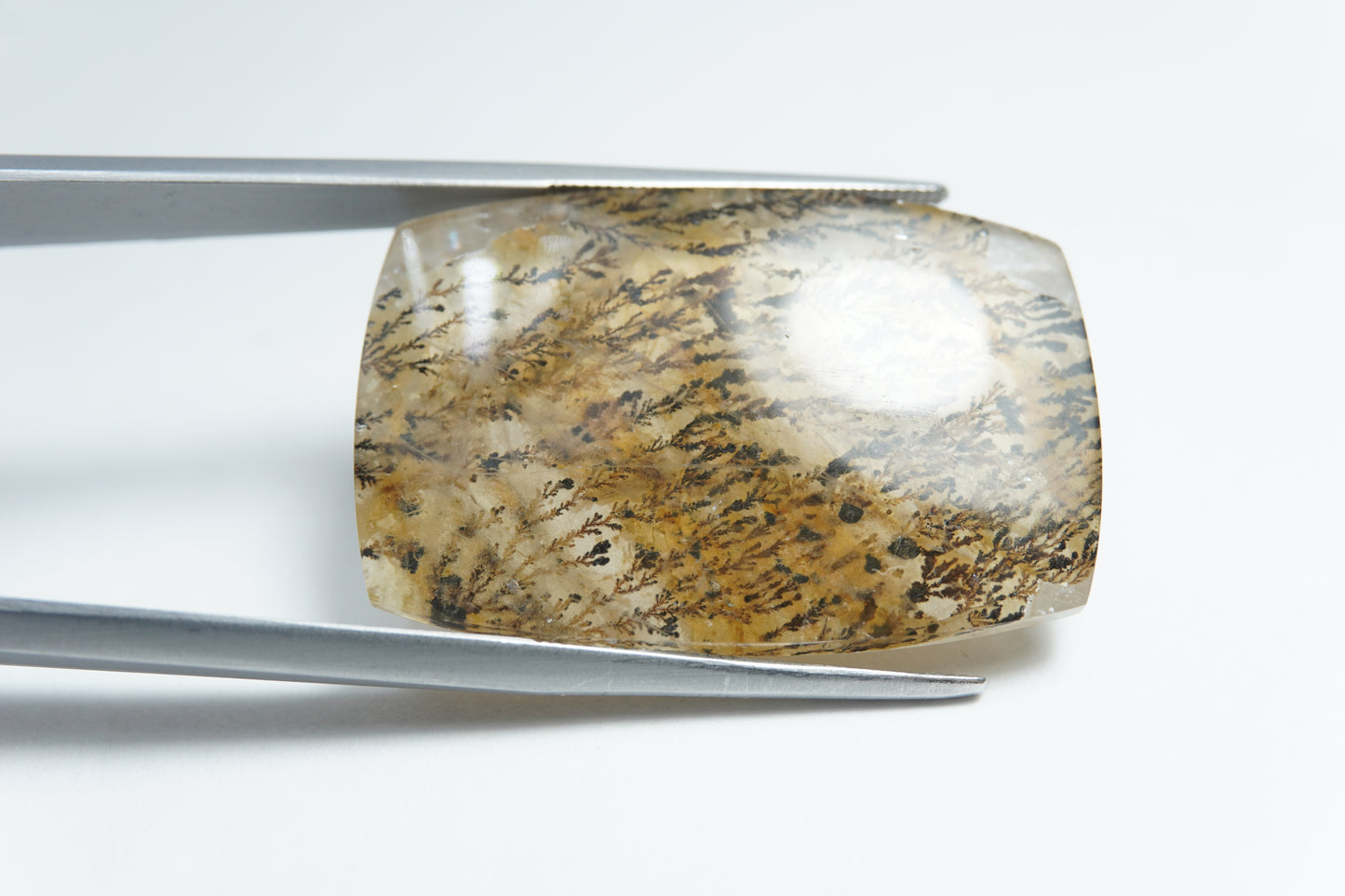 44.95ct Dendrita 32x21mm