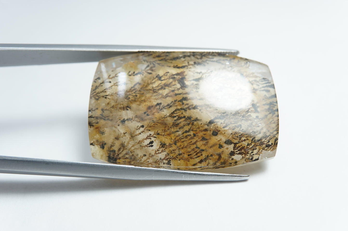44.95ct Dendrita 32x21mm