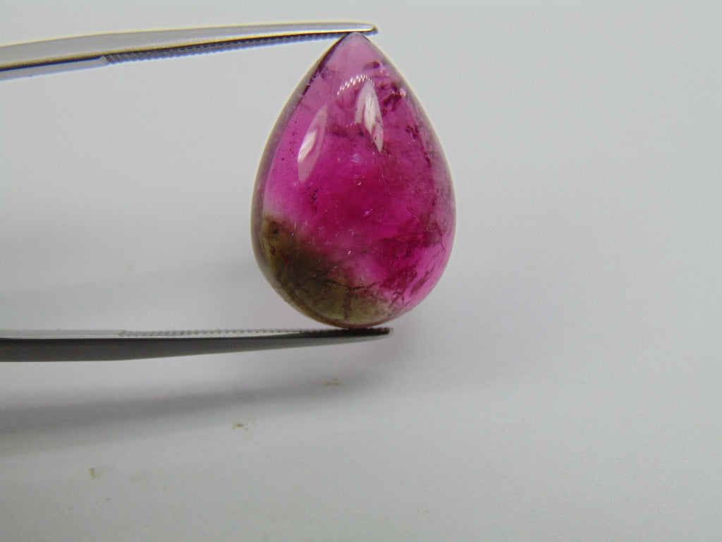 14.55ct Tourmaline Cabochon Bicolor 20x14mm