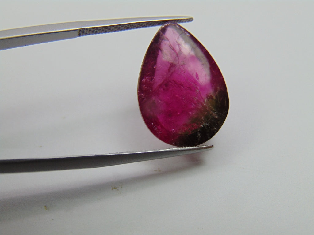 14.55ct Tourmaline Cabochon Bicolor 20x14mm