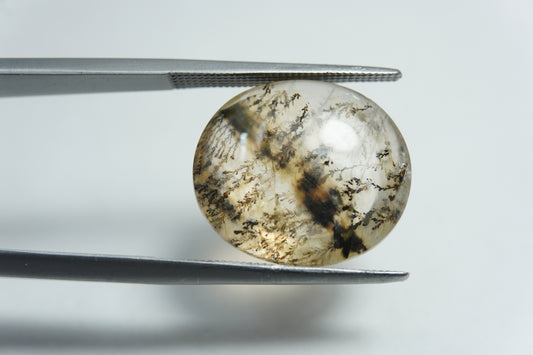 9.15ct Dendrita 17x15mm