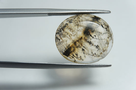 9.15ct Dendrita 17x15mm