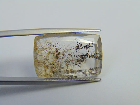 19.95ct Dendrita 22x15mm