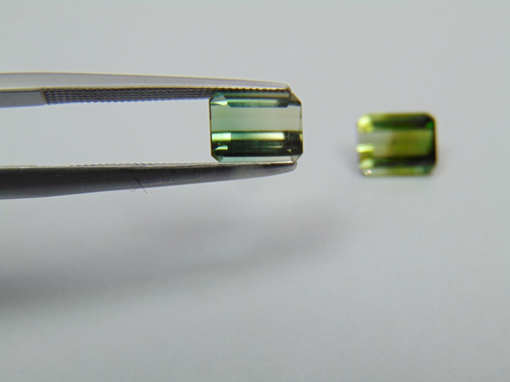 2.25ct Turmalina  Bicolor Calibrada 6x5mm