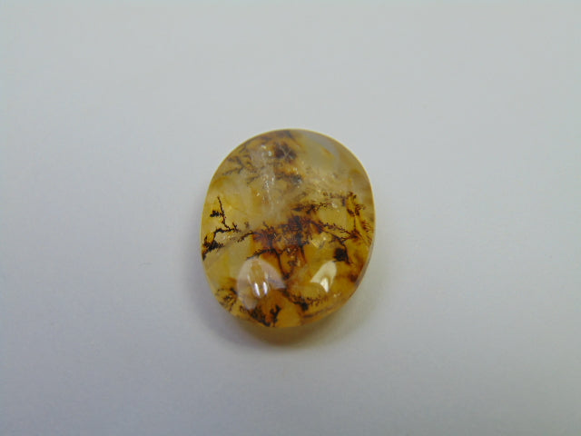 12.24ct Dendrita 19x14mm