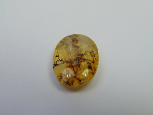 12.24ct Dendrita 19x14mm