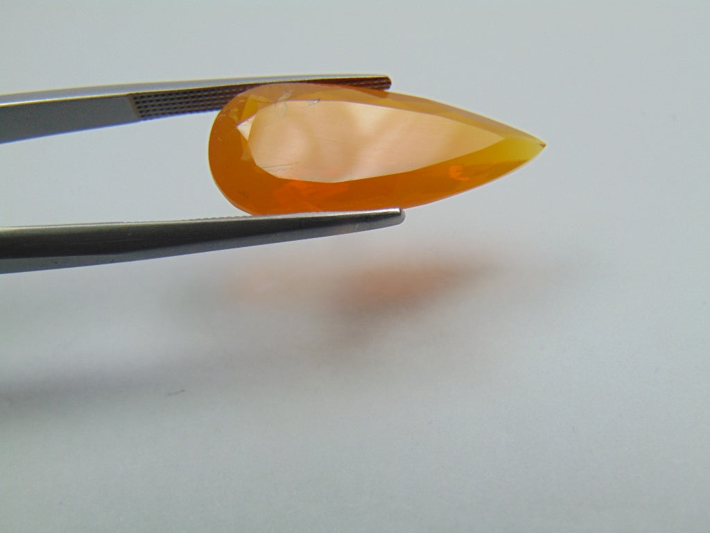 6.50ct Fire Opal 24x10mm