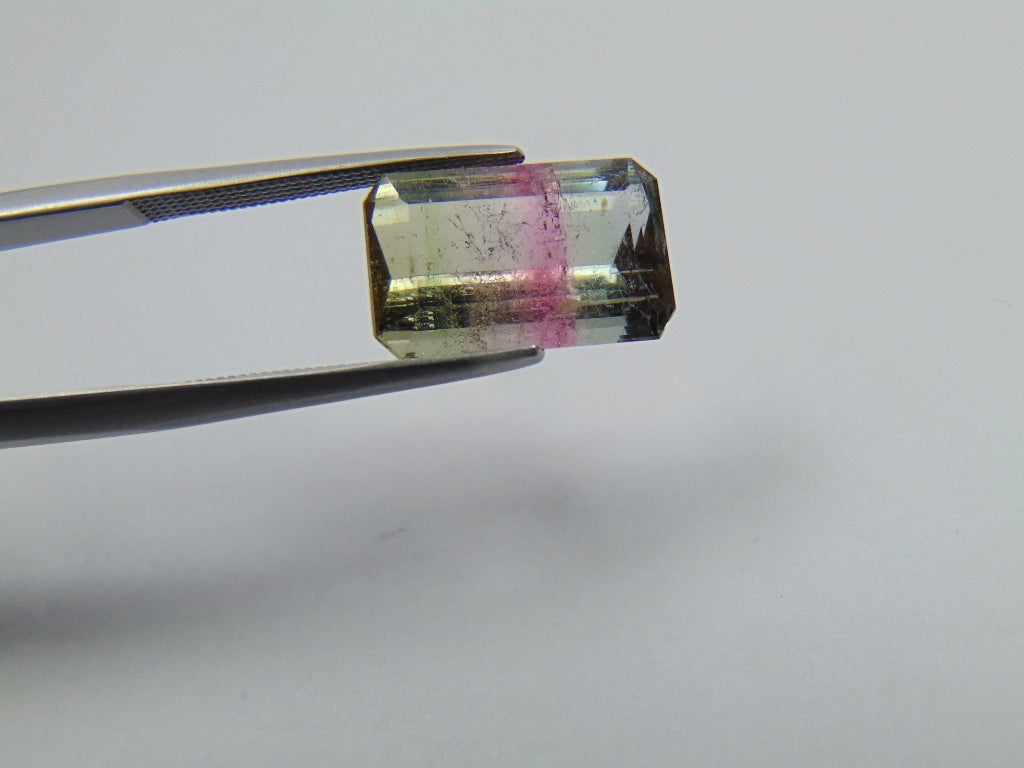 6ct Tourmaline Bicolor 14x9mm