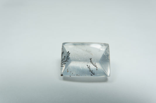 8.11ct Dendrita 14x10mm