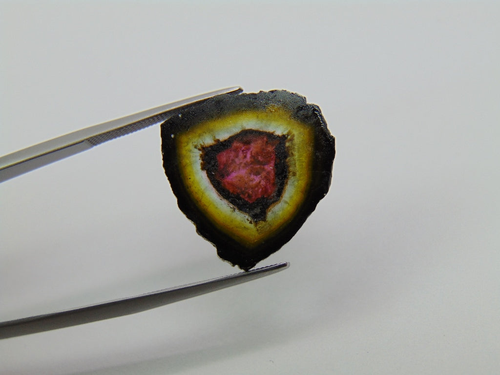 13.60ct Watermelon Tourmaline 19mm