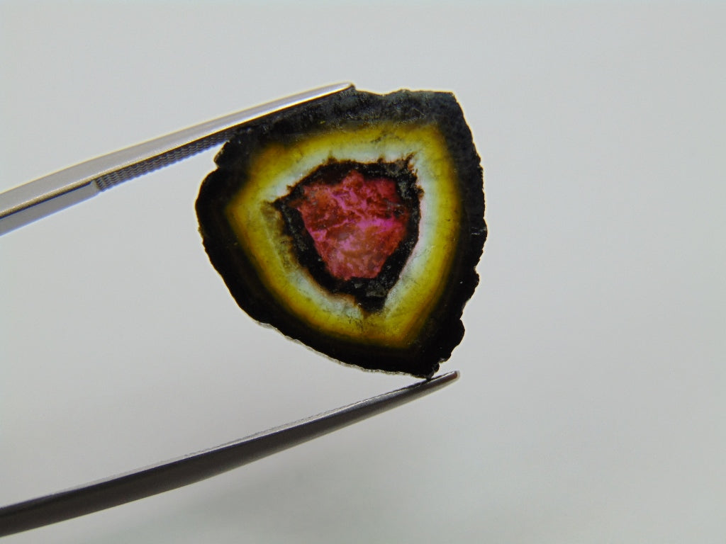 13.60ct Watermelon Tourmaline 19mm