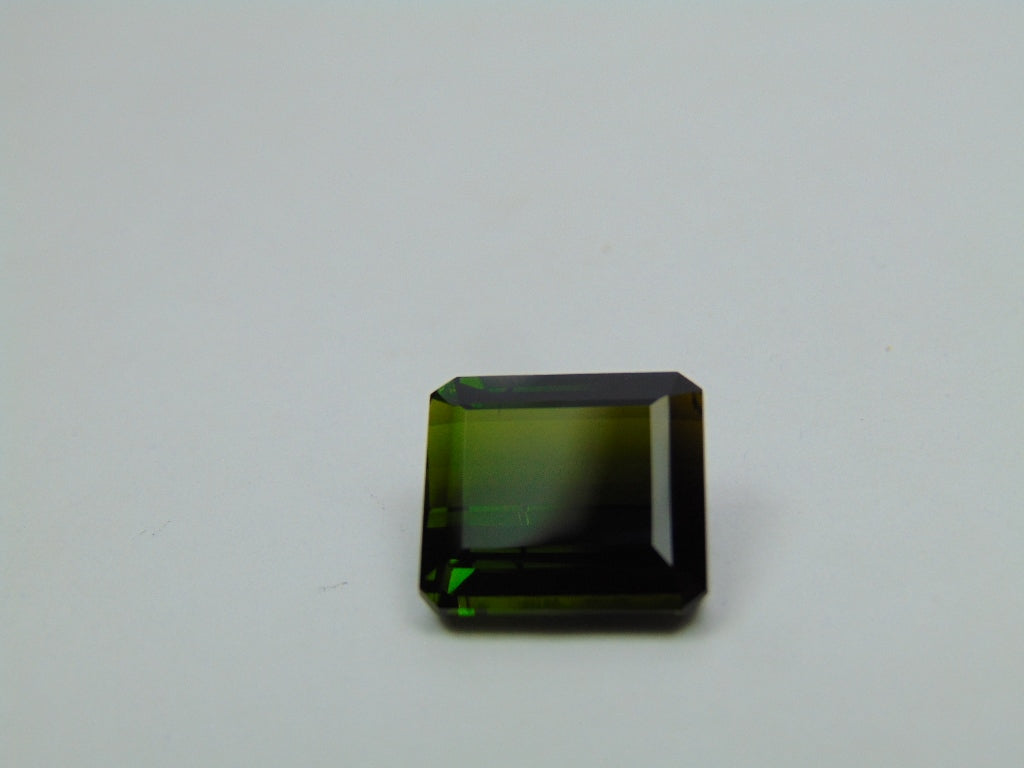 9.60ct Turmalina Bicolor 13x12mm