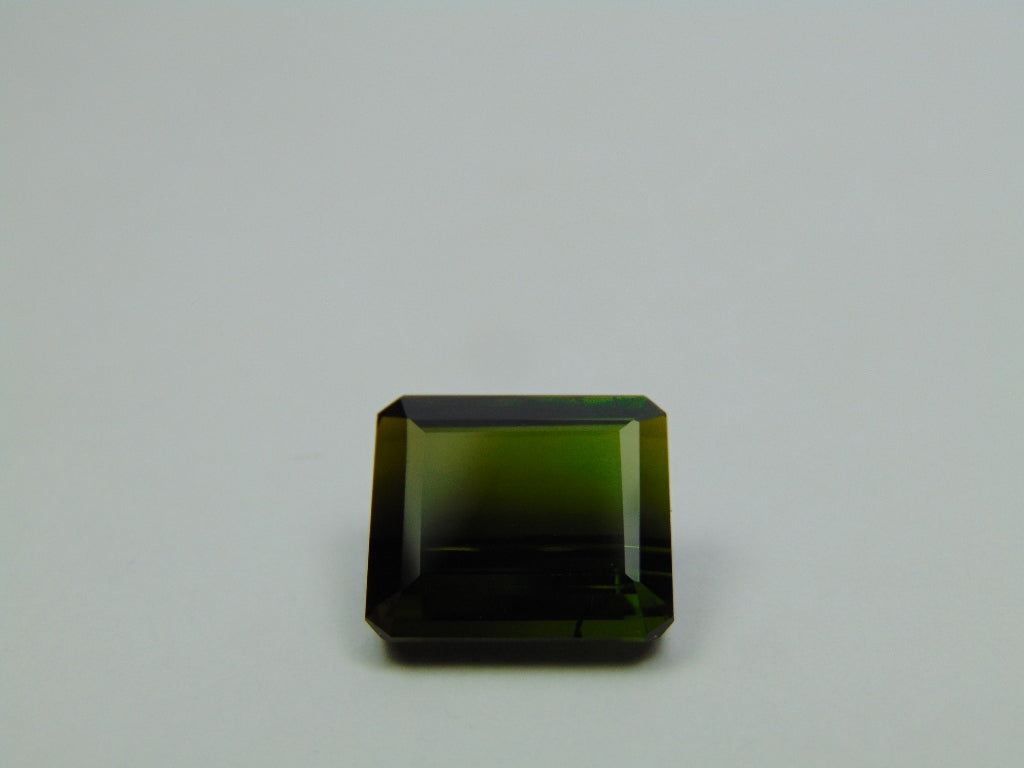 9.60ct Turmalina Bicolor 13x12mm