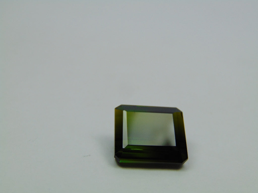 9.60ct Turmalina Bicolor 13x12mm