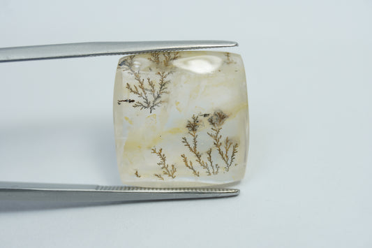 15.10ct Dendrita 17x17.5mm