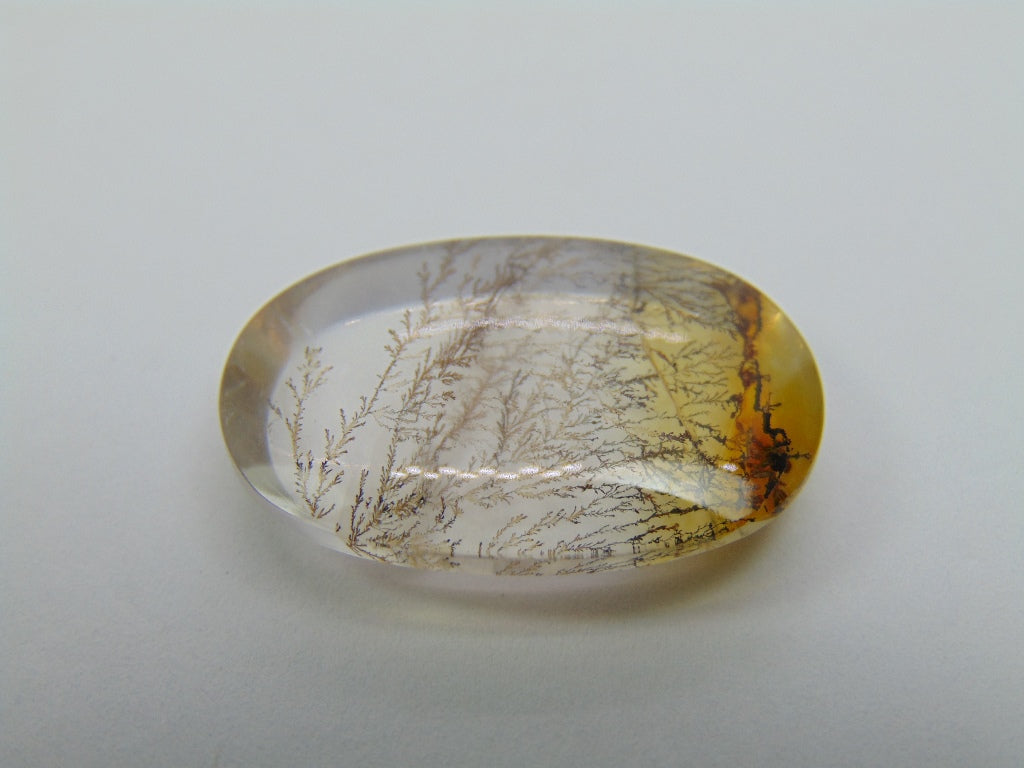 Dendrito 23,15ct 26x17mm