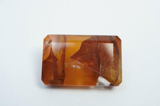 50.70ct Dendrita 28x18mm