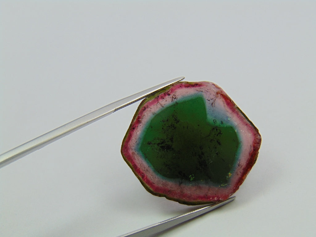 39.30ct Watermelon Tourmaline 27x4mm