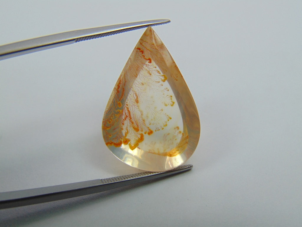 Dendrito 25,20ct 29x19mm