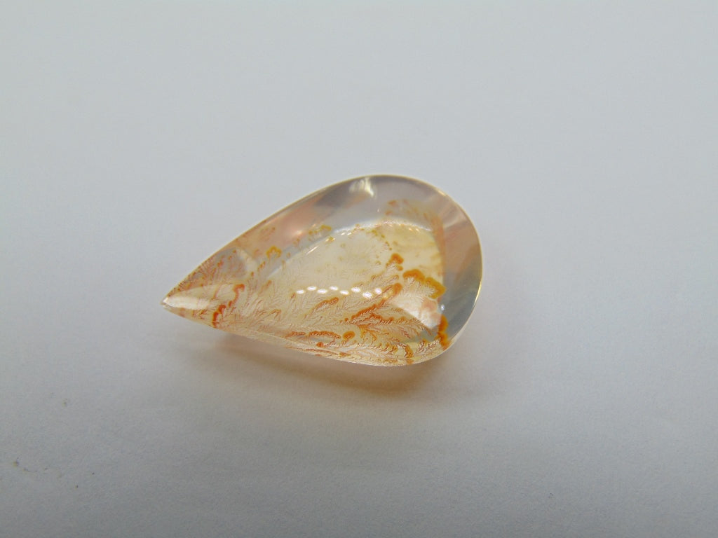 Dendrito 25,20ct 29x19mm