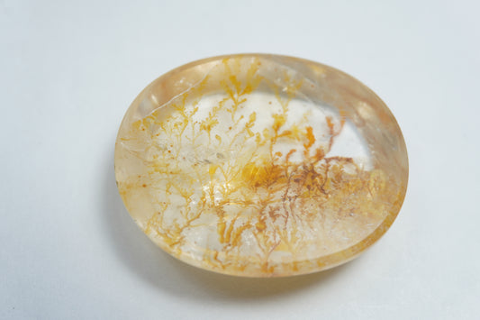 53.95ct Dendrita 30x27mm