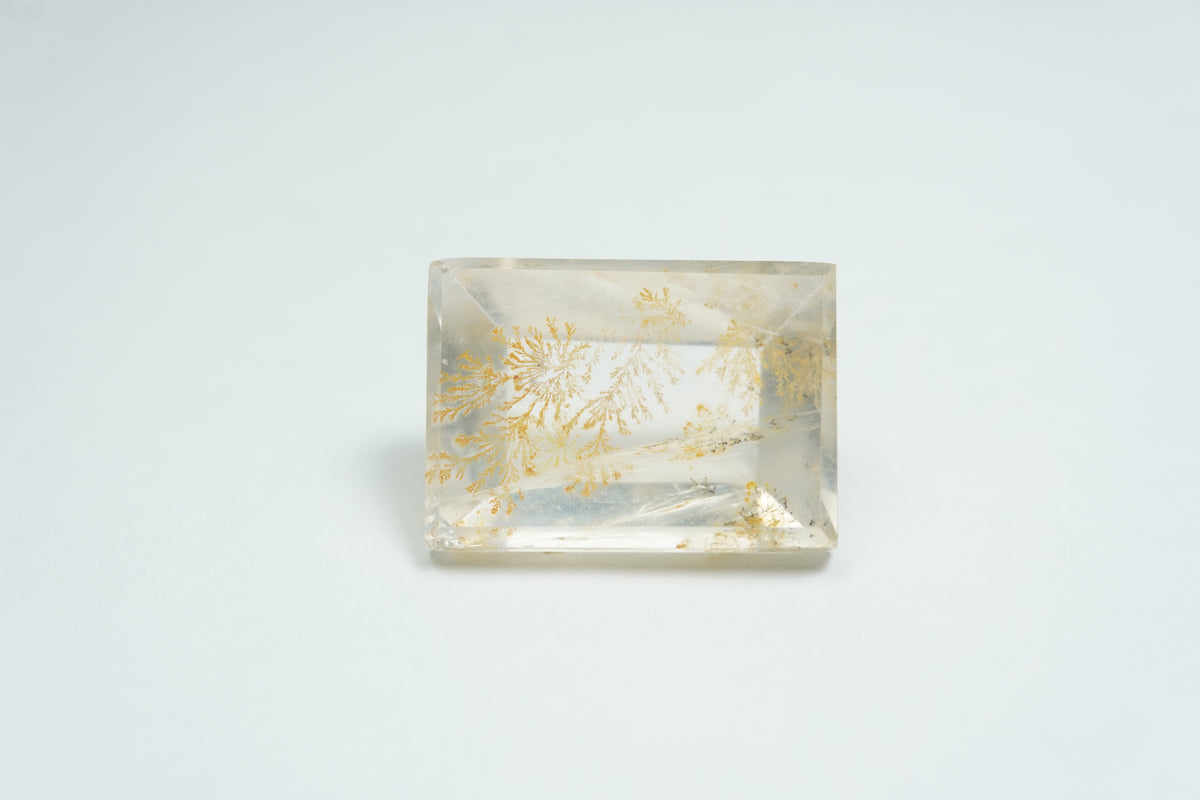 13.21ct Dendrita 16.5x12mm