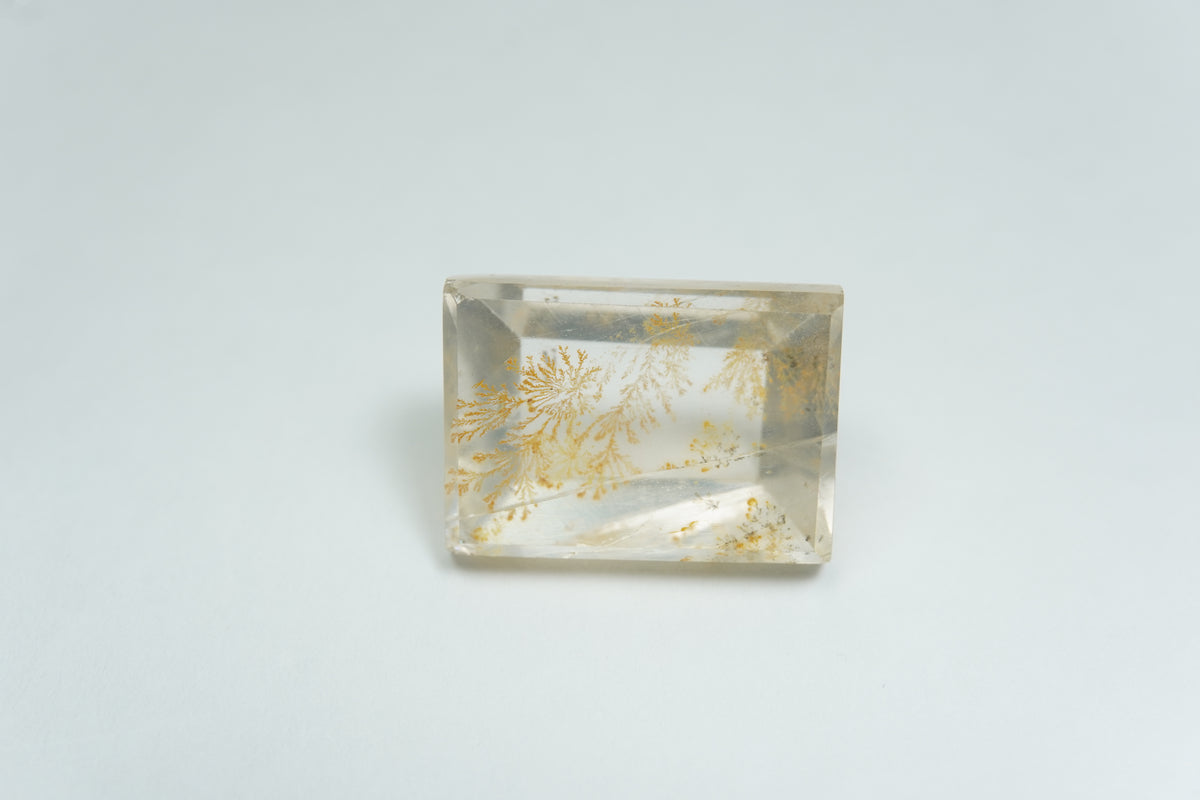13.21ct Dendrita 16.5x12mm