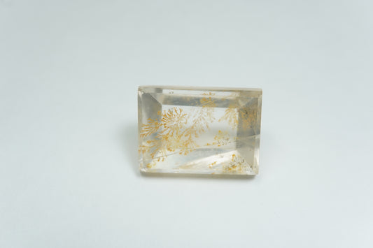 13.21ct Dendrita 16.5x12mm