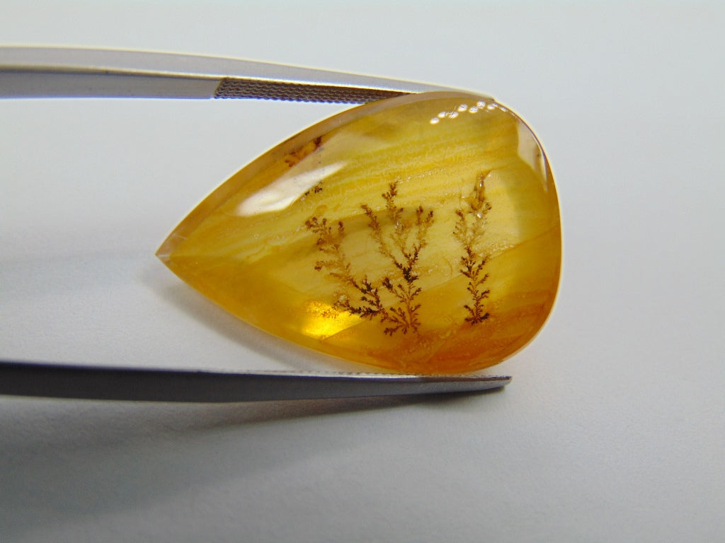 Dendrito 18,80ct 25x17mm