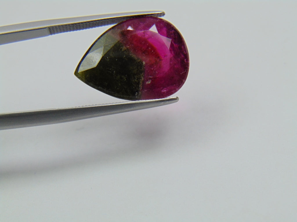 9.95ct Turmalina Bicolor 18x13mm