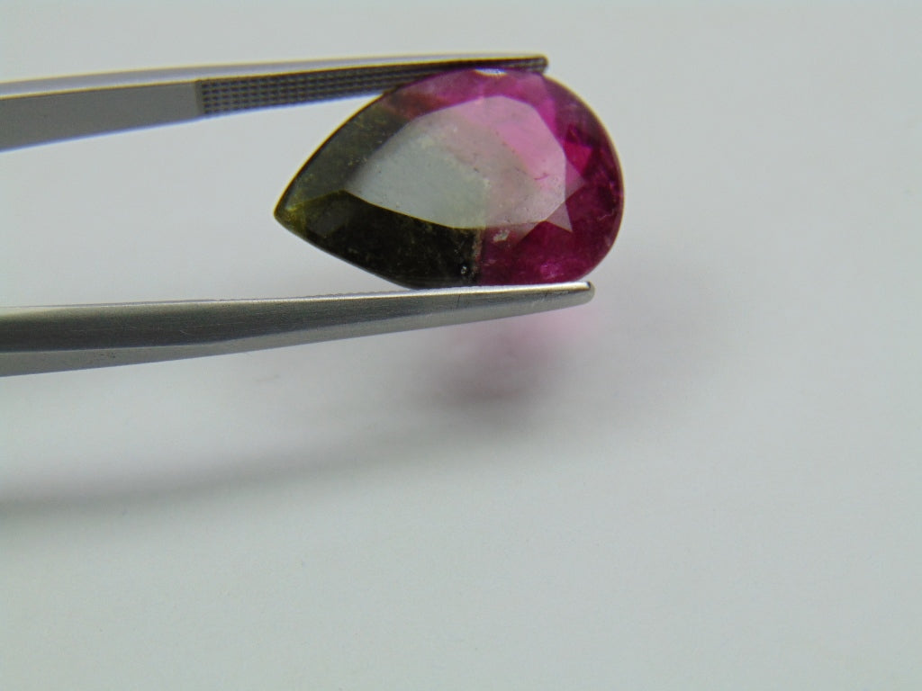 9.95ct Turmalina Bicolor 18x13mm