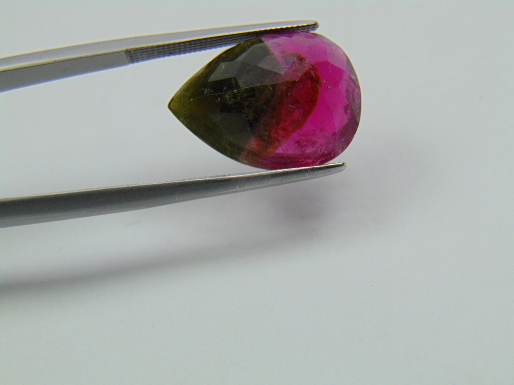 9.95ct Turmalina Bicolor 18x13mm