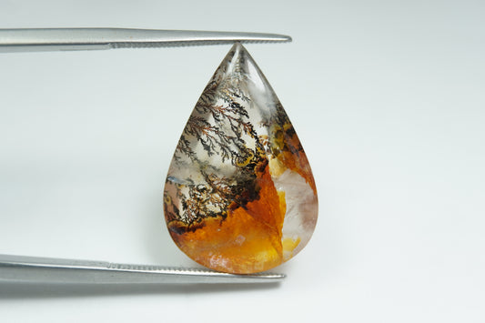 12.78ct Dendrita 24x16mm