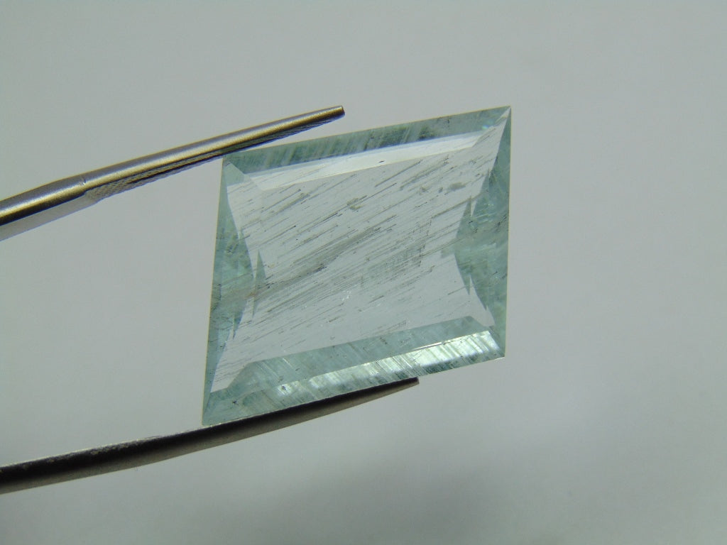 18.40ct Aquamarine With Needle 19x17mm