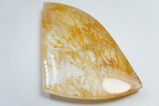 109.30ct Dendrita 55x47mm