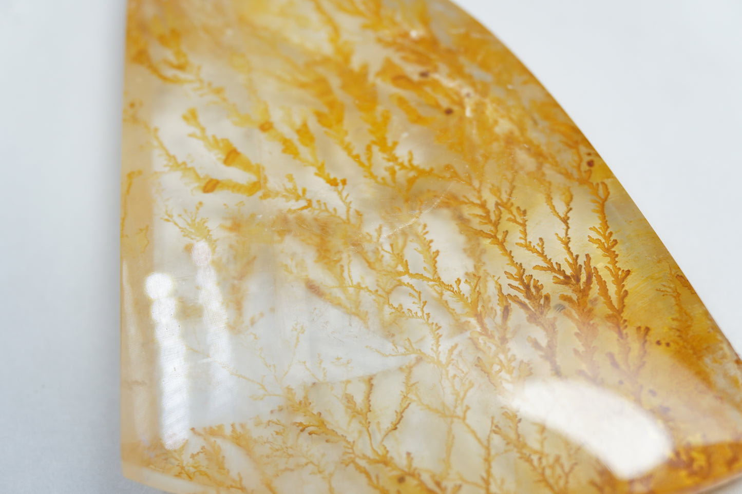 109.30ct Dendrita 55x47mm