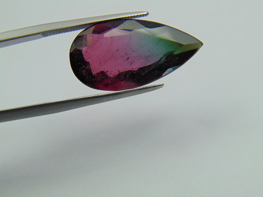 9.95ct Turmalina Bicolor 22x12mm