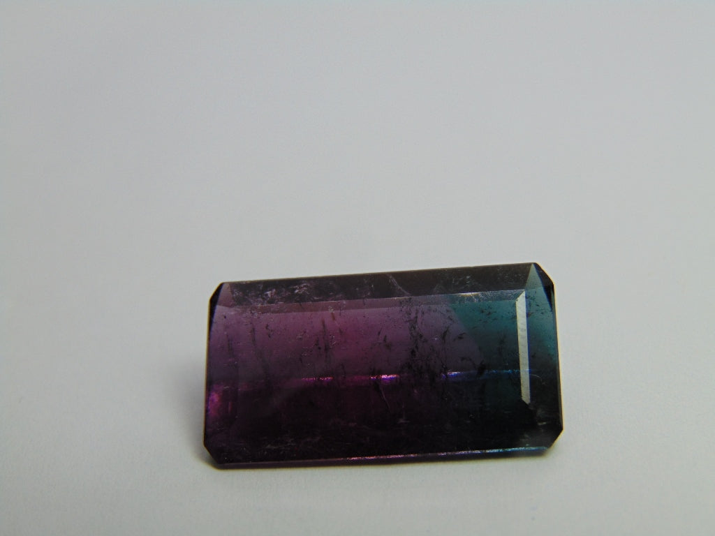 20.35ct Turmalina Bicolor 24x13mm