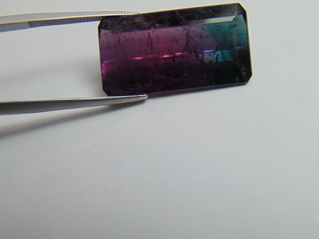 20.35ct Turmalina Bicolor 24x13mm