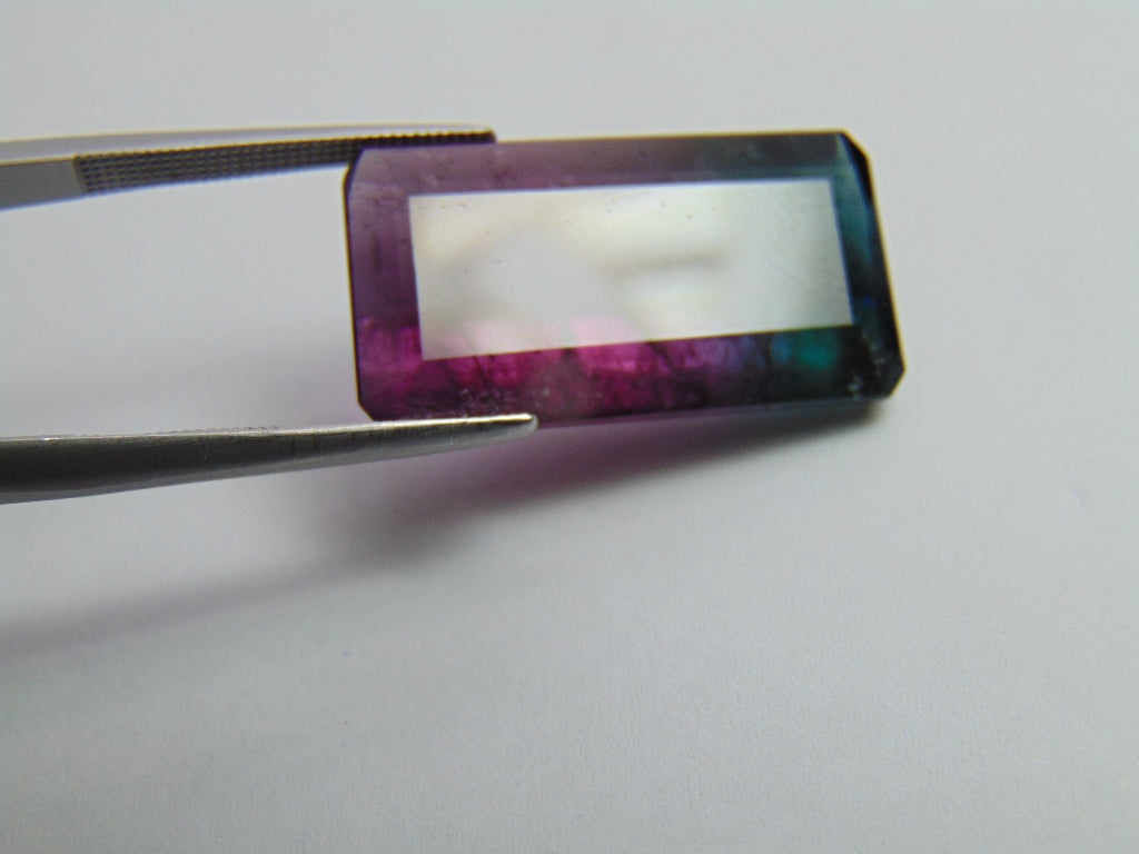 20.35ct Turmalina Bicolor 24x13mm