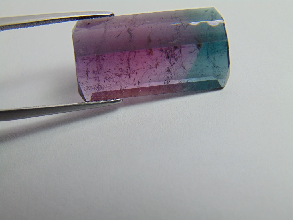 20.35ct Turmalina Bicolor 24x13mm