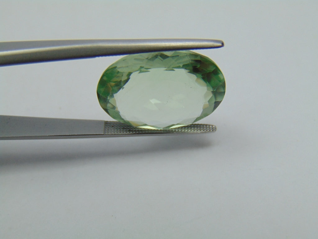 15.10ct Prasiolite 20x15mm