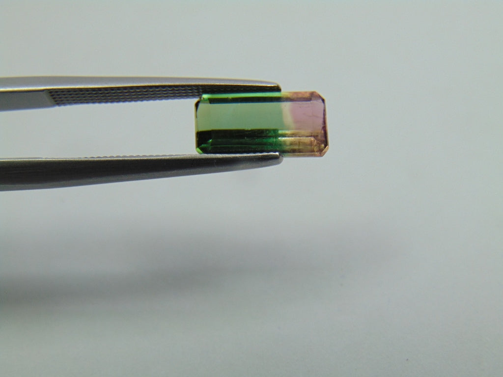 1.60ct Turmalina Bicolor 10x5mm