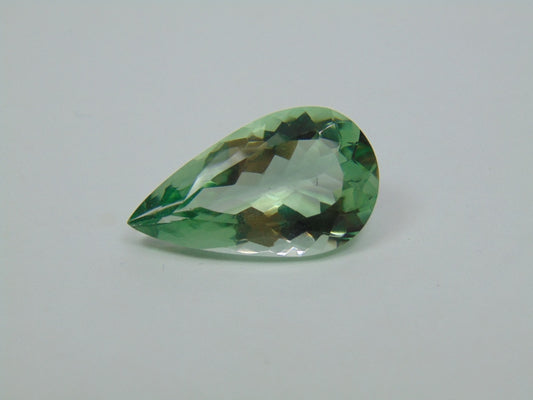 19.10ct Prasiolite 21x15mm