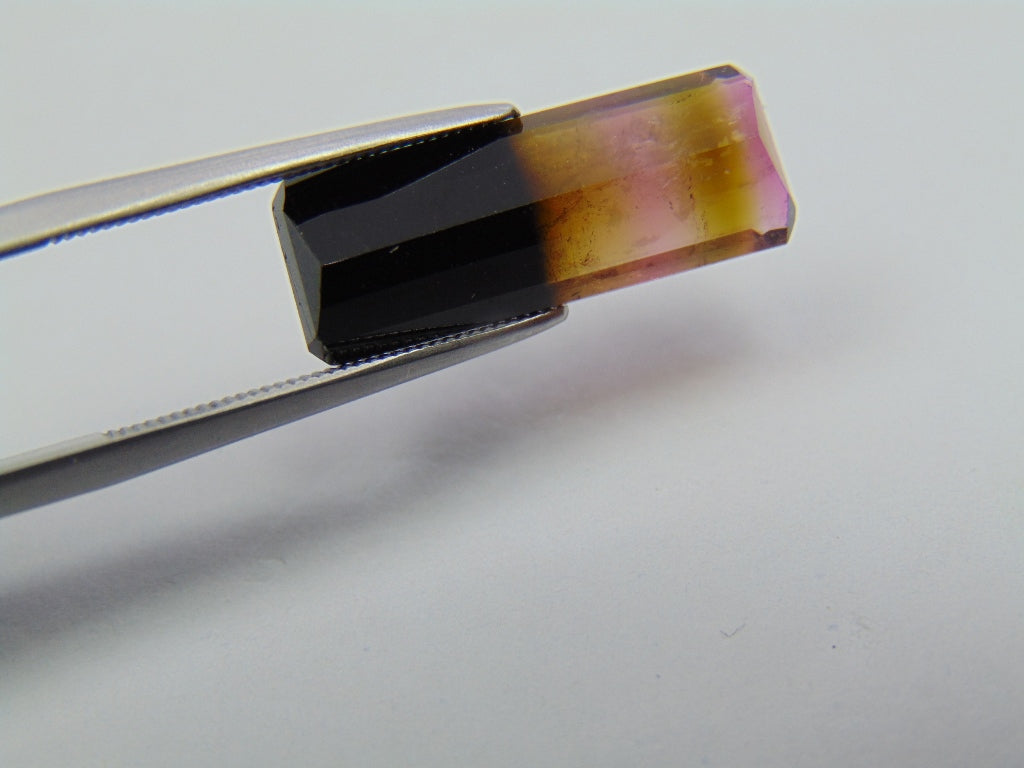 6.50ct Tourmaline Bicolor 19x7mm
