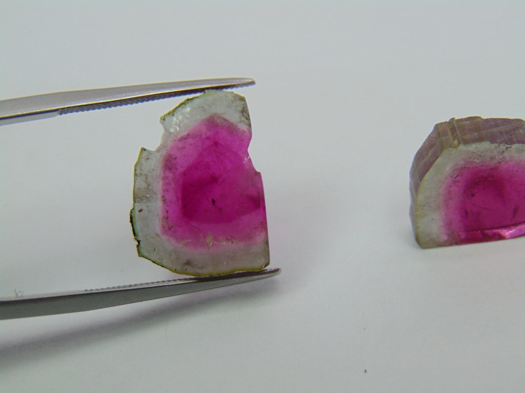 19.35ct Watermelon Tourmaline Pair 17x13mm