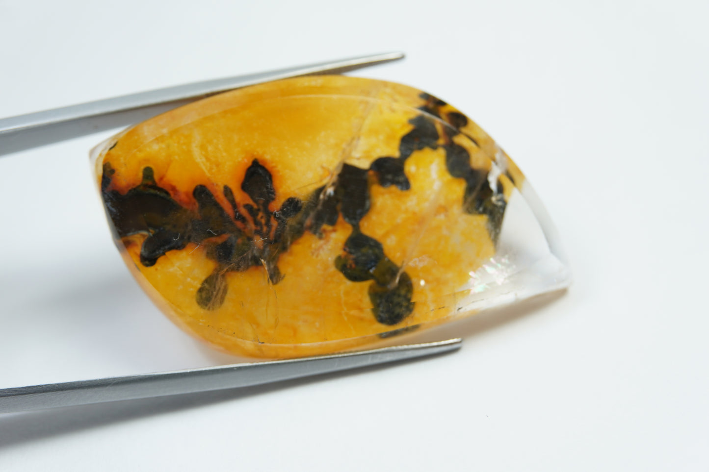 60.65ct Dendrita 44x24mm
